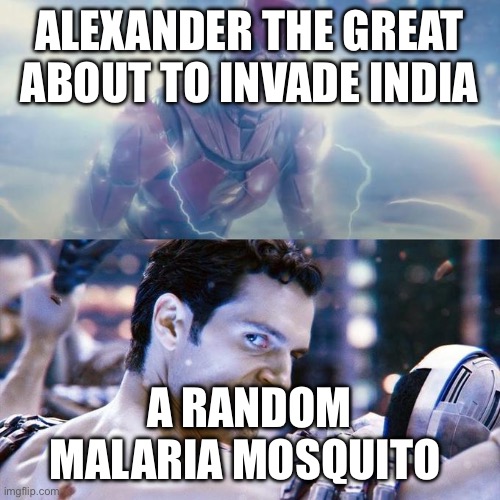 Flash looking at Superman meme | ALEXANDER THE GREAT ABOUT TO INVADE INDIA; A RANDOM MALARIA MOSQUITO | image tagged in flash looking at superman meme | made w/ Imgflip meme maker