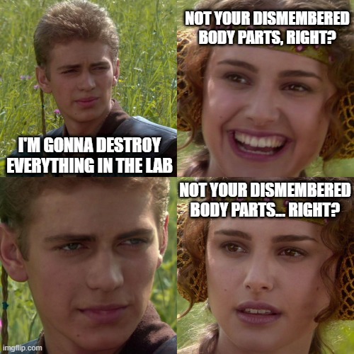 Anakin Padme 4 Panel | NOT YOUR DISMEMBERED BODY PARTS, RIGHT? I'M GONNA DESTROY EVERYTHING IN THE LAB; NOT YOUR DISMEMBERED BODY PARTS... RIGHT? | image tagged in anakin padme 4 panel | made w/ Imgflip meme maker