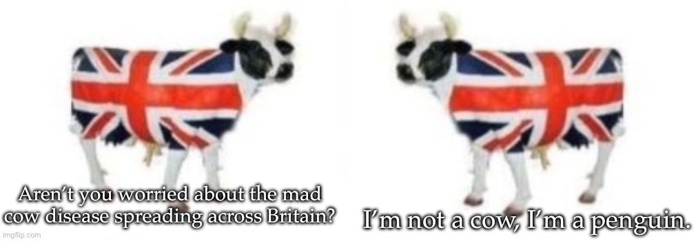 Dad joke cows | I’m not a cow, I’m a penguin. Aren’t you worried about the mad cow disease spreading across Britain? | image tagged in cows,british,mad | made w/ Imgflip meme maker