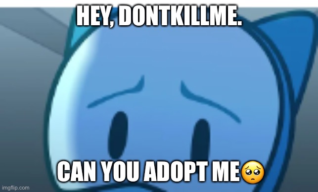 ? | HEY, DONTKILLME. CAN YOU ADOPT ME🥺 | image tagged in sad dog | made w/ Imgflip meme maker