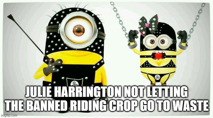BDSM Minions | JULIE HARRINGTON NOT LETTING THE BANNED RIDING CROP GO TO WASTE | image tagged in bdsm minions | made w/ Imgflip meme maker