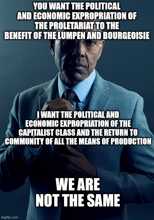 Gus Fring we are not the same | YOU WANT THE POLITICAL AND ECONOMIC EXPROPRIATION OF THE PROLETARIAT TO THE BENEFIT OF THE LUMPEN AND BOURGEOISIE; I WANT THE POLITICAL AND ECONOMIC EXPROPRIATION OF THE CAPITALIST CLASS AND THE RETURN TO COMMUNITY OF ALL THE MEANS OF PRODUCTION; WE ARE NOT THE SAME | image tagged in gus fring we are not the same | made w/ Imgflip meme maker