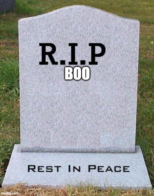 RIP headstone | BOO | image tagged in rip headstone | made w/ Imgflip meme maker