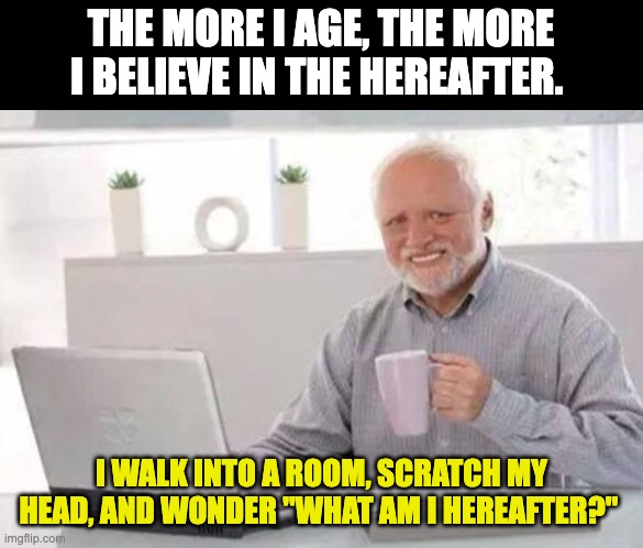 Hereafter | THE MORE I AGE, THE MORE I BELIEVE IN THE HEREAFTER. I WALK INTO A ROOM, SCRATCH MY HEAD, AND WONDER "WHAT AM I HEREAFTER?" | image tagged in harold,bad pun | made w/ Imgflip meme maker