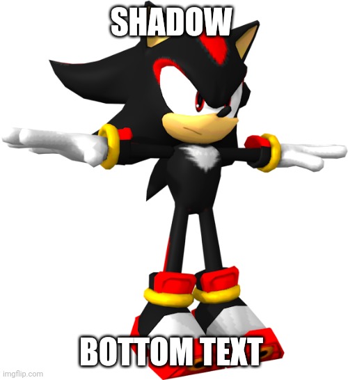 Shadow | SHADOW; BOTTOM TEXT | image tagged in shadow the hedgehog t pose,memes | made w/ Imgflip meme maker