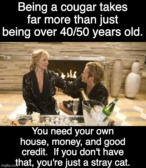 Those are the rules | Being a cougar takes far more than just being over 40/50 years old. You need your own house, money, and good credit.  If you don't have that, you're just a stray cat. | image tagged in cougar | made w/ Imgflip meme maker