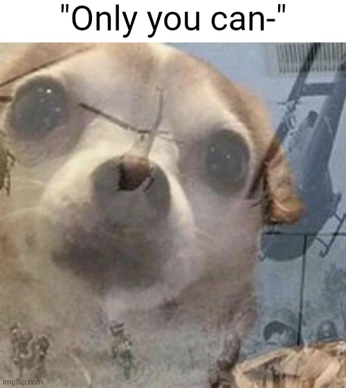 "Only you can-" | image tagged in doom,vietnam dog flashbacks | made w/ Imgflip meme maker