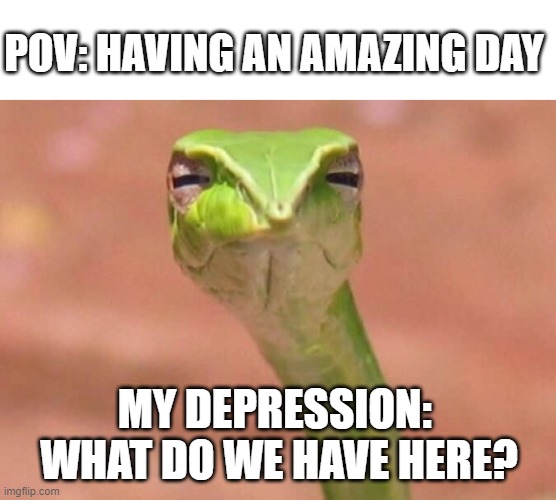 My depression be like | POV: HAVING AN AMAZING DAY; MY DEPRESSION: 
WHAT DO WE HAVE HERE? | image tagged in skeptical snake | made w/ Imgflip meme maker