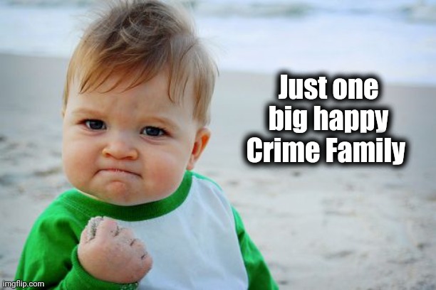 Success Kid Original Meme | Just one big happy Crime Family | image tagged in memes,success kid original | made w/ Imgflip meme maker