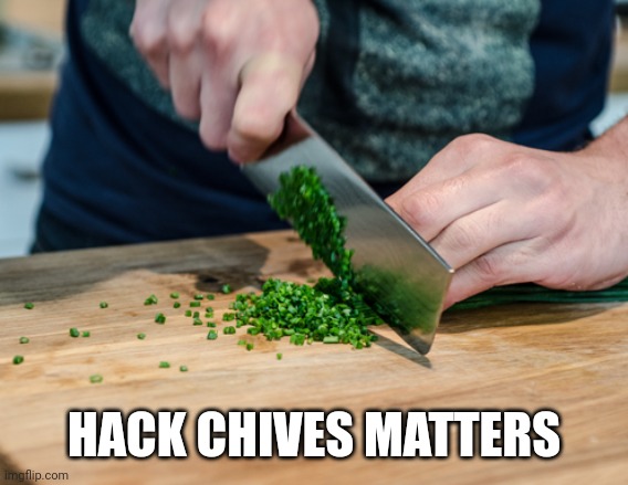 Hack chives matters | HACK CHIVES MATTERS | image tagged in black lives matter | made w/ Imgflip meme maker