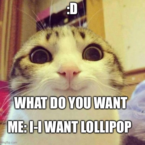 *mm* how do cats rule the internet??? | :D; WHAT DO YOU WANT; ME: I-I WANT LOLLIPOP | image tagged in memes,smiling cat | made w/ Imgflip meme maker