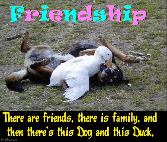 I had a friend... once | image tagged in vince vance,friendship,dogs,ducks,friends,memes | made w/ Imgflip meme maker