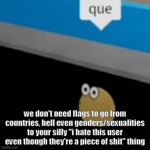 que | we don't need flags to go from countries, hell even genders/sexualities to your silly "i hate this user even though they're a piece of shit" thing | image tagged in que | made w/ Imgflip meme maker