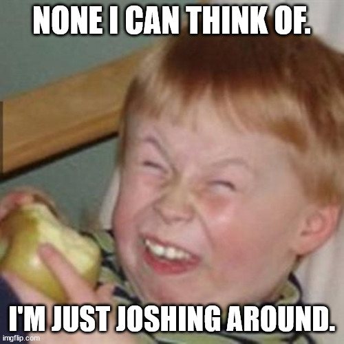 ME IN RESPONSE TO PEOPLE WHO ASK ME QUESTIONS | NONE I CAN THINK OF. I'M JUST JOSHING AROUND. | image tagged in laughing kid | made w/ Imgflip meme maker