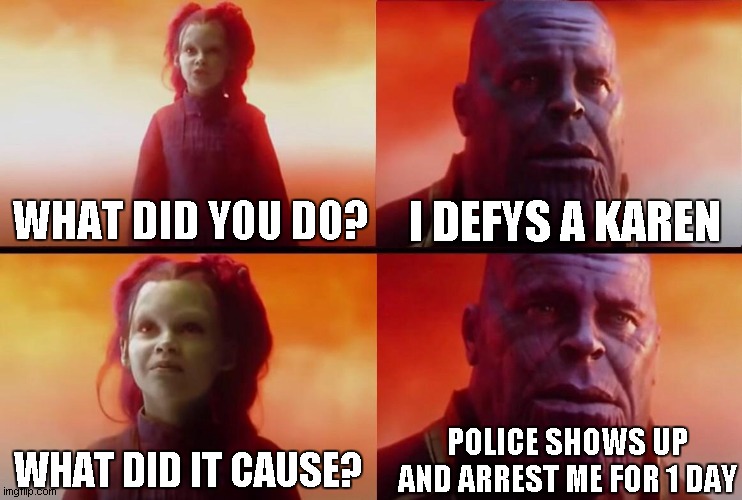 sadness | I DEFYS A KAREN; WHAT DID YOU DO? POLICE SHOWS UP AND ARREST ME FOR 1 DAY; WHAT DID IT CAUSE? | image tagged in what did it cost,thats how brain damage works | made w/ Imgflip meme maker