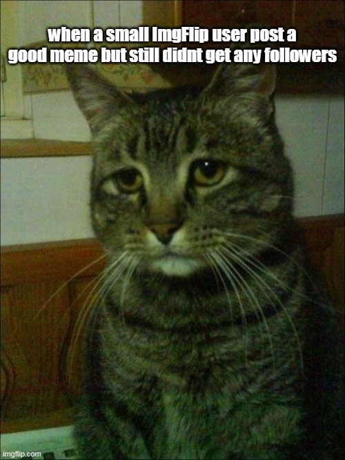 sad | when a small ImgFlip user post a good meme but still didnt get any followers | image tagged in memes,depressed cat | made w/ Imgflip meme maker