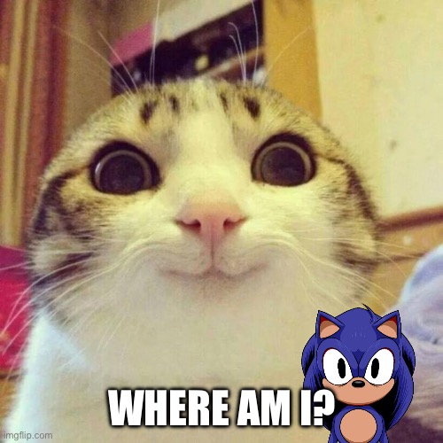 ??? | WHERE AM I? | image tagged in memes,smiling cat | made w/ Imgflip meme maker