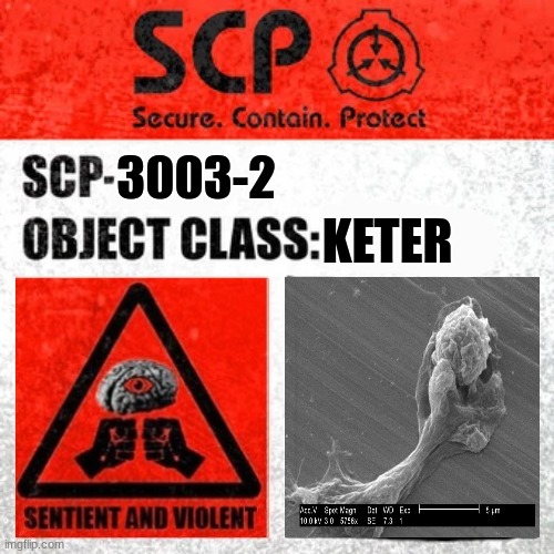 SCP-3003-2 label - Imgflip