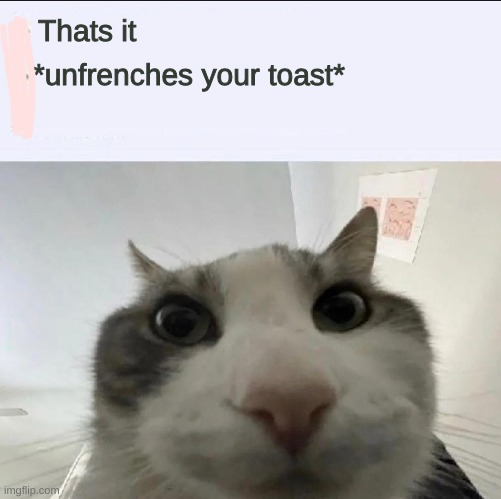 Cat looks inside | Thats it; *unfrenches your toast* | image tagged in cat looks inside | made w/ Imgflip meme maker