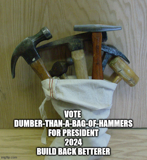 VOTE 
DUMBER-THAN-A-BAG-OF-HAMMERS
FOR PRESIDENT
2024
BUILD BACK BETTERER | made w/ Imgflip meme maker