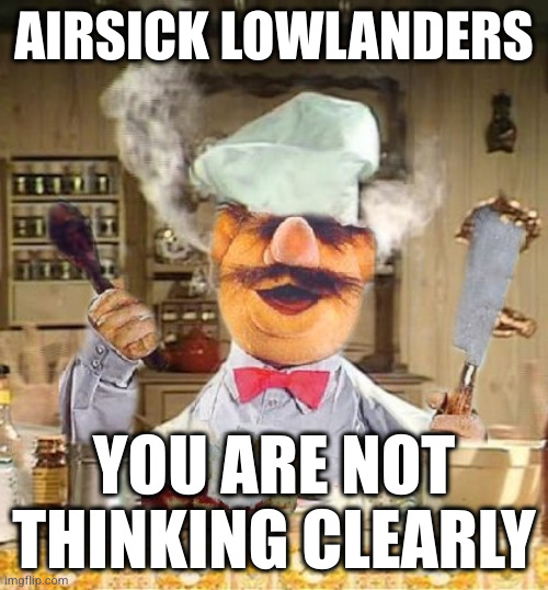 alt text Actual image of Rock yelling at bridge four, ok it's really the sweedish chef saying airsick lowlanders you are not thinking clearly