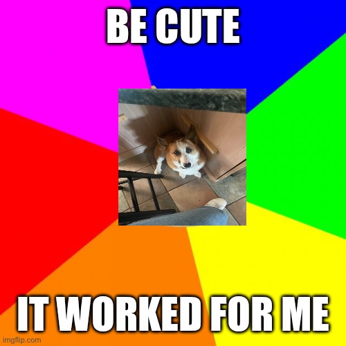 Advice Doge | BE CUTE; IT WORKED FOR ME | image tagged in memes,advice doge | made w/ Imgflip meme maker