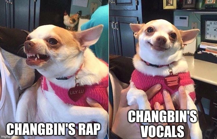 Changbin's awesome | CHANGBIN'S RAP; CHANGBIN'S VOCALS | image tagged in angry dog meme,skz,changbin,rap,vocals,angry chihuahua happy chihuahua | made w/ Imgflip meme maker