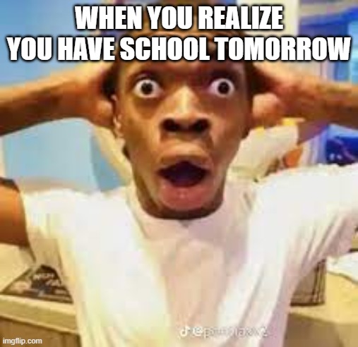 WHEN YOU REALIZE YOU HAVE SCHOOL TOMORROW | made w/ Imgflip meme maker