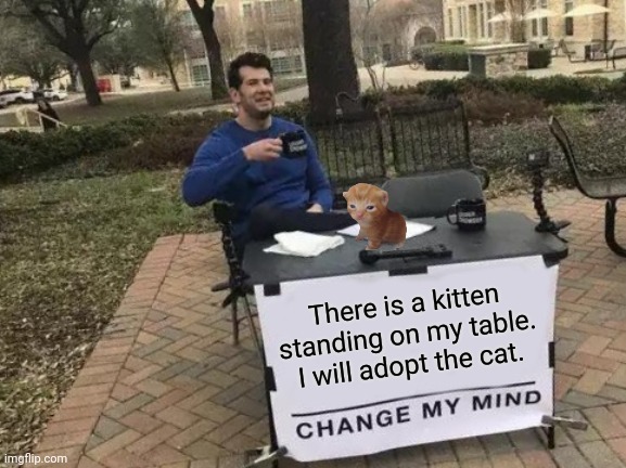Change My Mind | There is a kitten standing on my table. I will adopt the cat. | image tagged in memes,cat,kitten | made w/ Imgflip meme maker