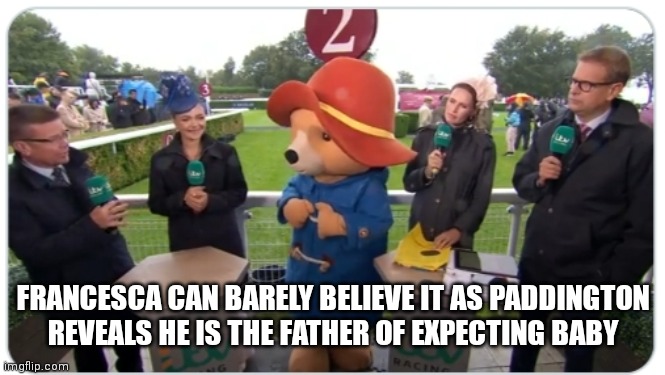 FRANCESCA CAN BARELY BELIEVE IT AS PADDINGTON REVEALS HE IS THE FATHER OF EXPECTING BABY | made w/ Imgflip meme maker