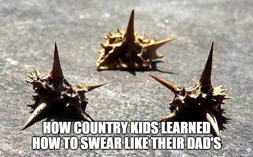 Ouch | HOW COUNTRY KIDS LEARNED HOW TO SWEAR LIKE THEIR DAD'S | image tagged in kids,kids life,country life | made w/ Imgflip meme maker