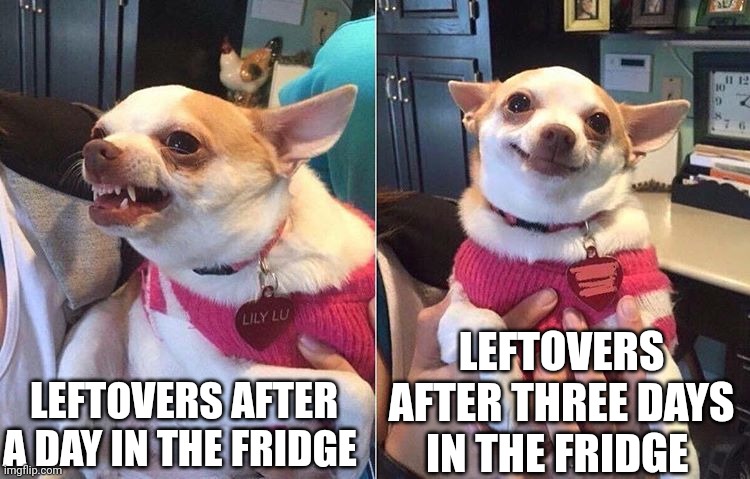 When it's three days | LEFTOVERS AFTER THREE DAYS IN THE FRIDGE; LEFTOVERS AFTER A DAY IN THE FRIDGE | image tagged in angry dog meme | made w/ Imgflip meme maker