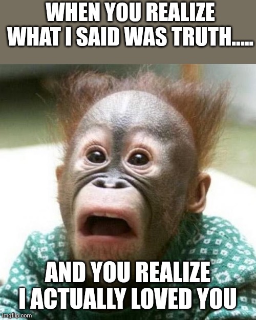 Shocked Monkey | WHEN YOU REALIZE WHAT I SAID WAS TRUTH..... AND YOU REALIZE I ACTUALLY LOVED YOU | image tagged in shocked monkey | made w/ Imgflip meme maker