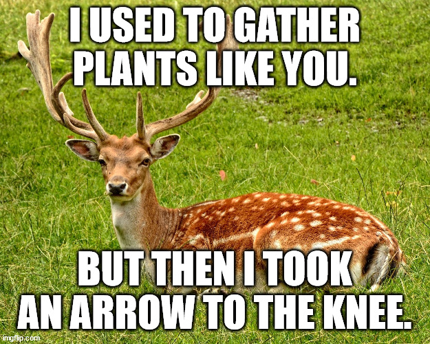 I USED TO GATHER PLANTS LIKE YOU. BUT THEN I TOOK AN ARROW TO THE KNEE. | made w/ Imgflip meme maker