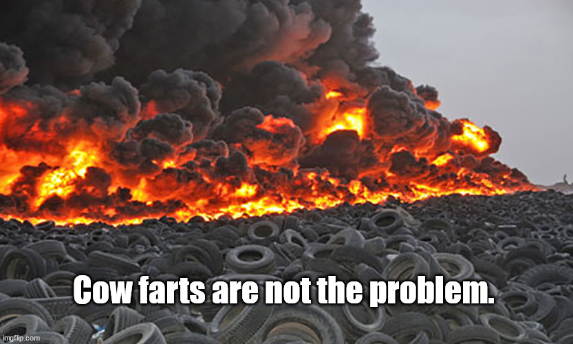 cow farts are not polution problem | Cow farts are not the problem. | image tagged in environment,green | made w/ Imgflip meme maker