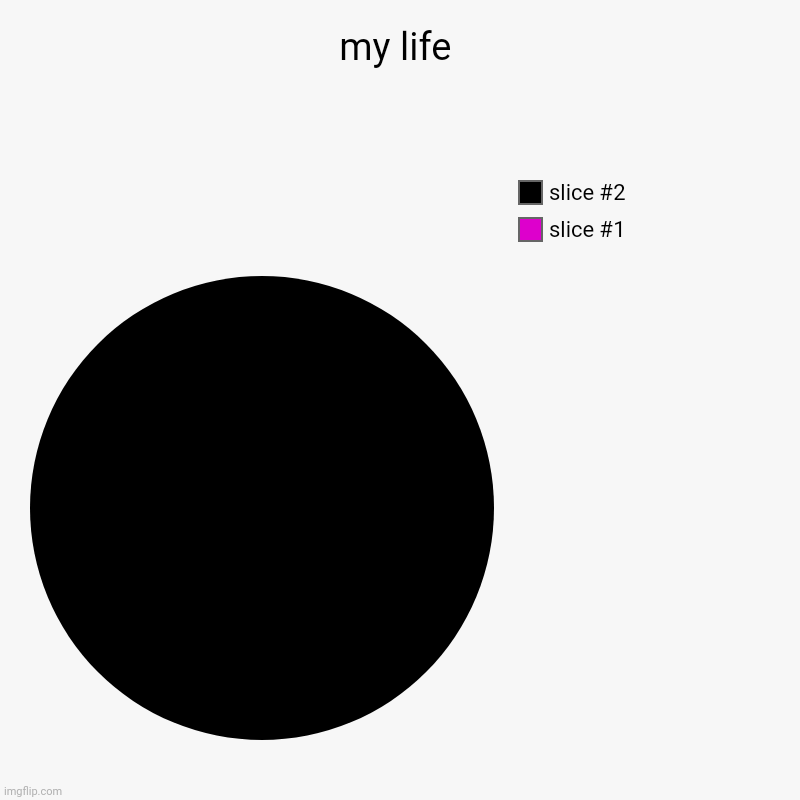 my life | | image tagged in charts,pie charts | made w/ Imgflip chart maker