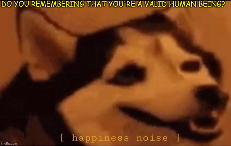I hope this is your reaction :) | DO YOU REMEMBERING THAT YOU'RE A VALID HUMAN BEING? | image tagged in happines noise | made w/ Imgflip meme maker