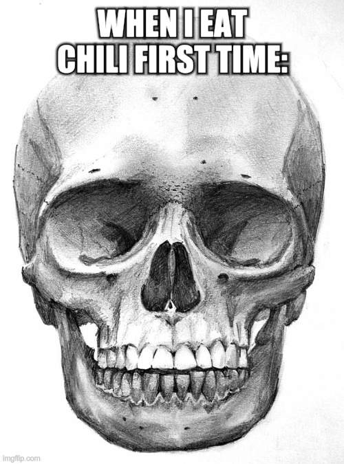 eating chili in 5 year old be like: | WHEN I EAT CHILI FIRST TIME: | image tagged in skeleton head | made w/ Imgflip meme maker