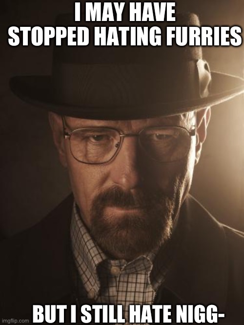 Walter White | I MAY HAVE STOPPED HATING FURRIES; BUT I STILL HATE NIGG- | image tagged in walter white | made w/ Imgflip meme maker