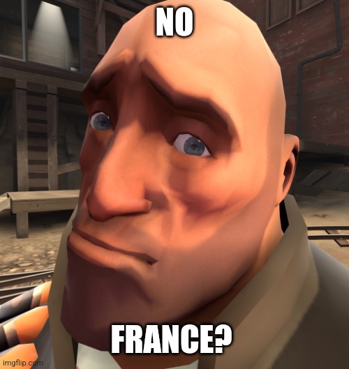 no anime? | NO FRANCE? | image tagged in no anime | made w/ Imgflip meme maker