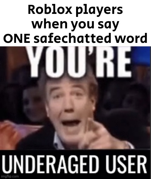 Especially when you typed 3 hashtags on purpose | Roblox players when you say ONE safechatted word | image tagged in you re underage user | made w/ Imgflip meme maker