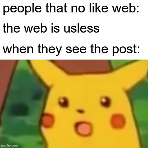 Surprised Pikachu Meme | people that no like web: the web is usless when they see the post: | image tagged in memes,surprised pikachu | made w/ Imgflip meme maker