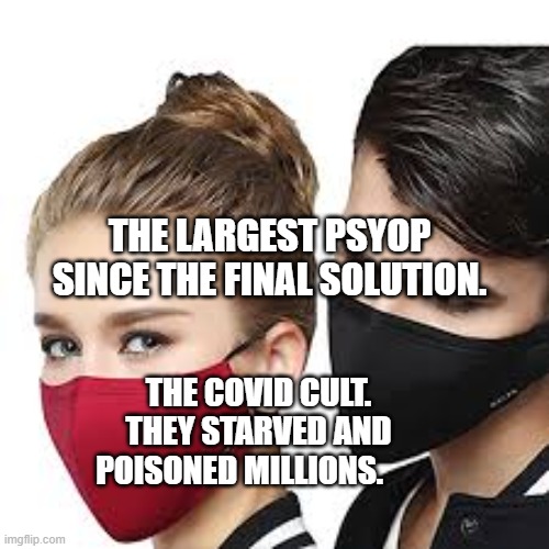 Mask Couple | THE LARGEST PSYOP  SINCE THE FINAL SOLUTION. THE COVID CULT. THEY STARVED AND POISONED MILLIONS. | image tagged in mask couple | made w/ Imgflip meme maker