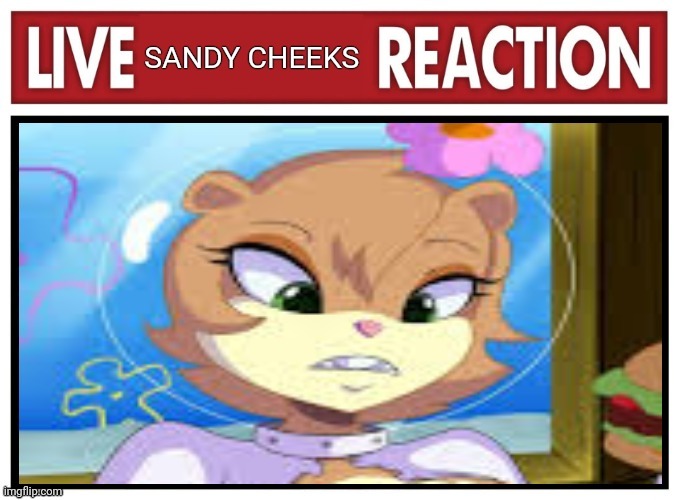 Stop it. Get some help | image tagged in sandy cheeks,live,reaction,stop it get some help | made w/ Imgflip meme maker