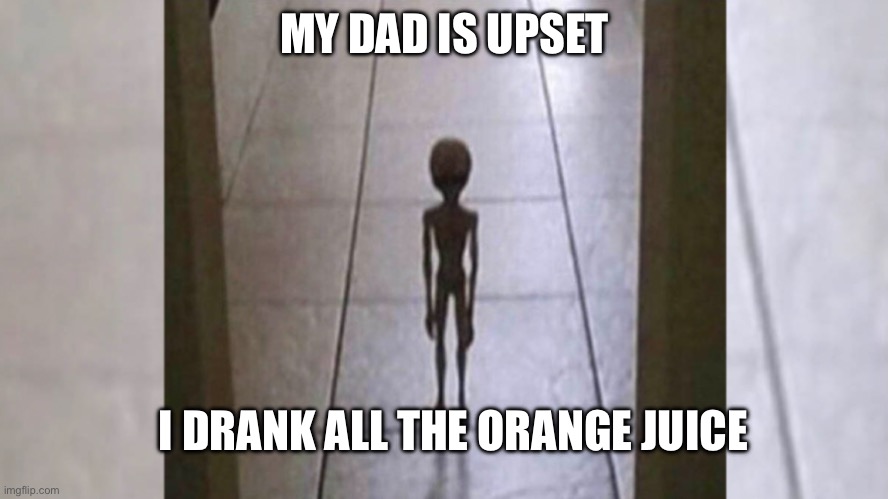 orange juice=peak | MY DAD IS UPSET; I DRANK ALL THE ORANGE JUICE | image tagged in mom i threw up | made w/ Imgflip meme maker