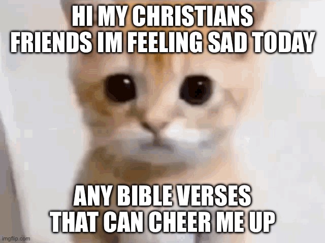 EL GATO | HI MY CHRISTIANS FRIENDS IM FEELING SAD TODAY; ANY BIBLE VERSES THAT CAN CHEER ME UP | image tagged in el gato | made w/ Imgflip meme maker