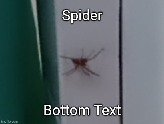 Spider; Bottom Text | image tagged in idk,stuff,s o u p,carck | made w/ Imgflip meme maker