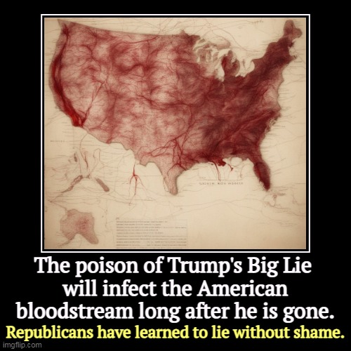 Face it, he lost. | The poison of Trump's Big Lie 
will infect the American bloodstream long after he is gone. | Republicans have learned to lie without shame. | image tagged in funny,demotivationals,trump,big lie,disease,infection | made w/ Imgflip demotivational maker