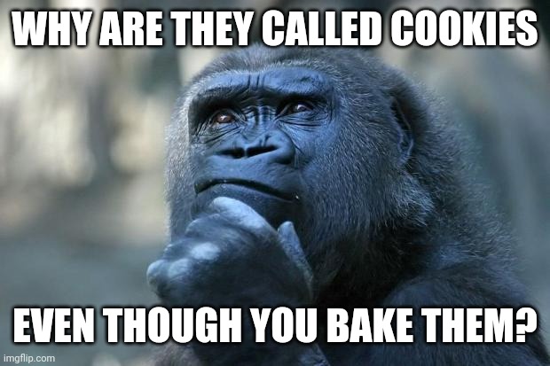I introduce to you a new word... BAKIES | WHY ARE THEY CALLED COOKIES; EVEN THOUGH YOU BAKE THEM? | image tagged in deep thoughts,cookie,cookies,shower thoughts,deep thoughts with the deep | made w/ Imgflip meme maker