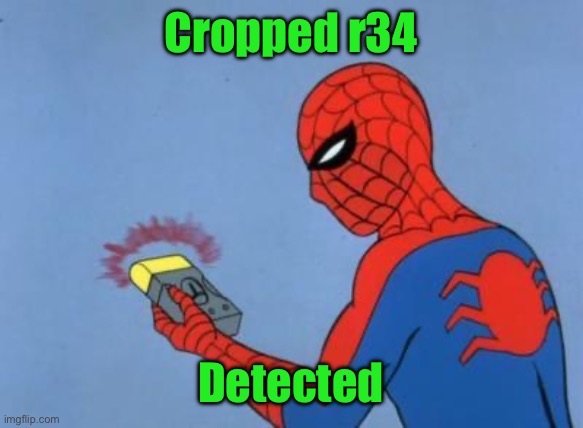 spiderman detector | Cropped r34 Detected | image tagged in spiderman detector | made w/ Imgflip meme maker